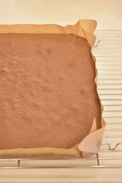 チョコレートクリームのブッシュドノエル