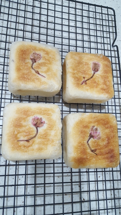 桜香るじゃことクリチの平焼きパン