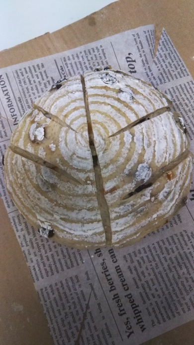 ホシノ酵母☆お鍋で焼くレーズン・オレンジ・チーズのパン