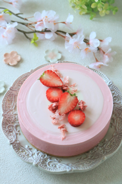 桜のグラデーションチーズケーキ