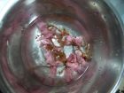 抹茶桜のあんパン