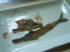 【クルミ】秋刀魚とクルミの生春巻き