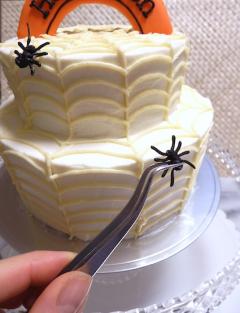 クモの巣ケーキ