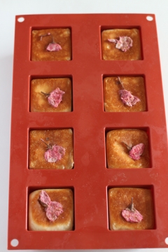 桜キューブあんパン