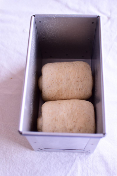 胚芽入り食パンで作るピクニックサンド