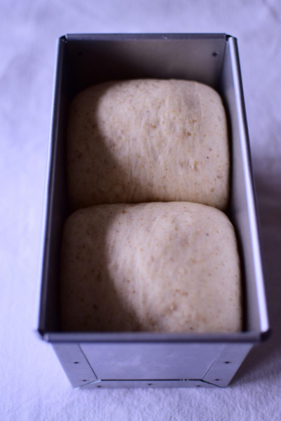 胚芽入り食パンで作るピクニックサンド
