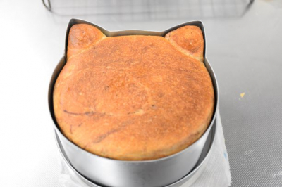茶トラ猫食パン