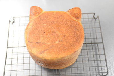 茶トラ猫食パン