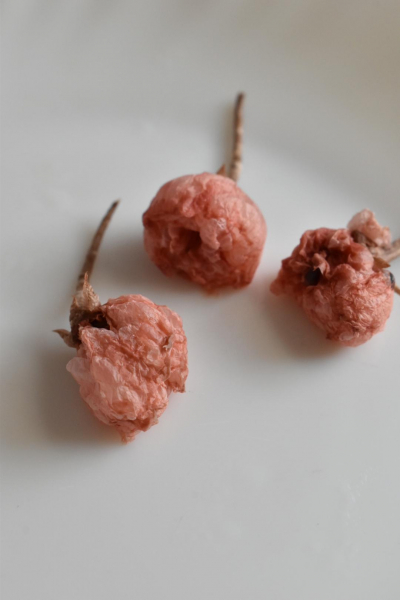 道明寺粉を使ったいちご桜餅