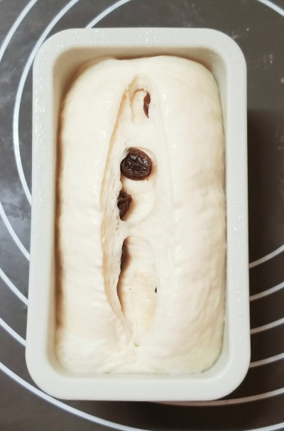 レーズンたっぷりの塩バタートップ☆ミニ食パン