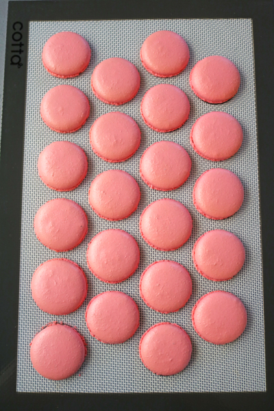 バレンタインチョコベリーデコマカロン