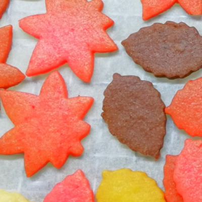 リラックマと秋の栗拾い＆紅葉狩りクッキー