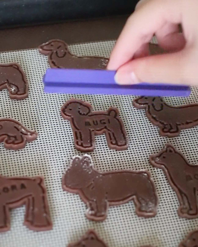 ワンちゃんのクッキー缶(犬図鑑)