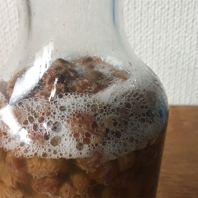 ホシノ天然酵母パン種と自家製酵母液の作り方